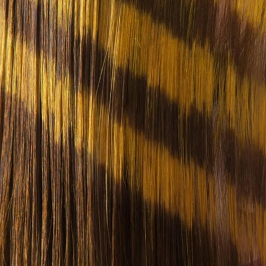 Back to school (partial highlight) at Naz beauty in Round Rock, TX